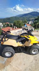 Sym Quadlander 300 2005