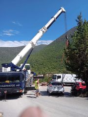 Γερανοί Liebherr 2004 LTM 1080-thumb-2