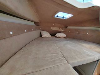 Texas 2026 610-thumb-19