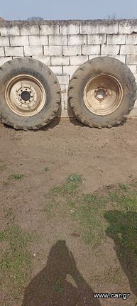 ΖΑΝΤΟΛΑΣΤΙΧΑ   BELARUS