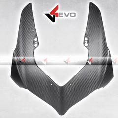Front Fairing - Panigale V4R (V4-V4S 2020-2024)