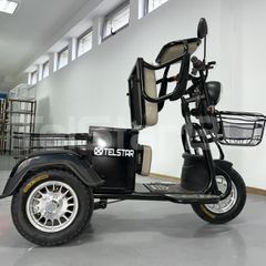 Τρίτροχη 2025 Ηλεκτρικό Τρίκυκλο 1+1 TS-750++ NEW 48V 750W-thumb-8