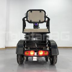 Τρίτροχη 2025 Ηλεκτρικό Τρίκυκλο 1+1 TS-750++ NEW 48V 750W-thumb-9
