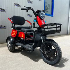 Τρίτροχη 2025 Ηλεκτρικό Τρίτροχο TS 350-7-OFFROAD 2000W 25Ah - Νέο Μοντέλο 2025-thumb-8