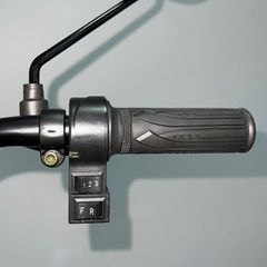 Τρίτροχη 2025 Ηλεκτρικό Τρίτροχο TS 350-7-OFFROAD 2000W 25Ah - Νέο Μοντέλο 2025-thumb-14