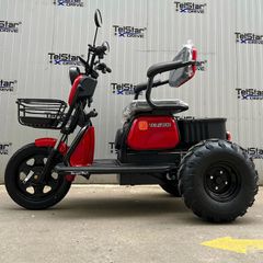 Τρίτροχη 2025 Ηλεκτρικό Τρίτροχο OFFROAD DESERT TS 350-7-NEW 2500W 25Ah - Νέο Μοντέλο 2025-thumb-5