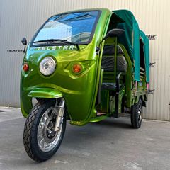 Τρίτροχη 2025 Κάργκο μεταφορέας 3000W MAX HEAVY T-1200
