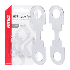 Amio - ΑΣΦΑΛΕΙΕΣ FLAT 42mm 30A - 2 Τεμ. (03497/AM)