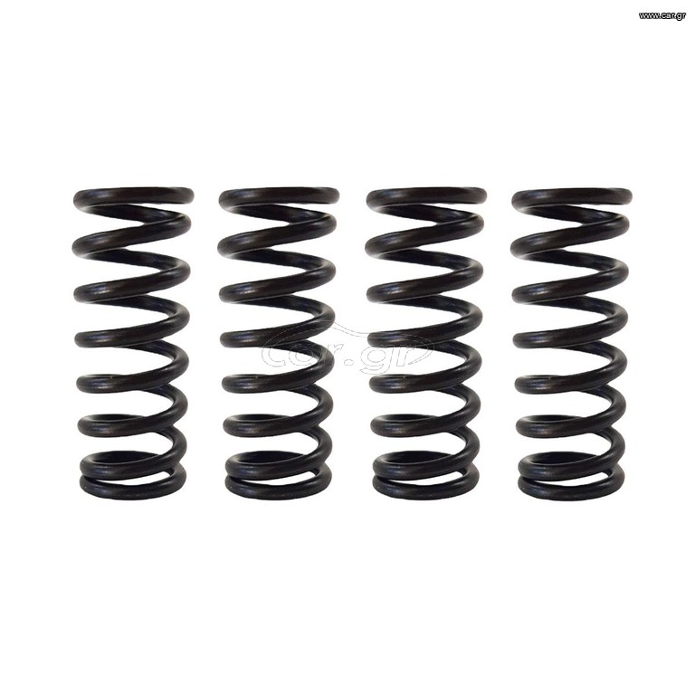 ΕΛΑΤΗΡΙΑ ΒΑΛΒΙΔΩΝ RACING SYM VF185