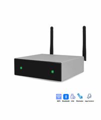 DSPPA DW02 WIFI STREAMING Ψηφιακός ενισχυτής 50W×2CH 4ohm Bluetooth 5.0 (Τεμάχιο)