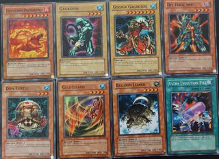 REPTILES COLLECTION / YUGIOH