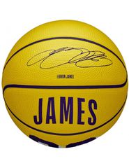 Wilson NBA Player Icon LeBron James Mini Ball WZ4027701XB