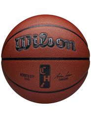 Wilson NBA Authentic City Chicago Ball WZ2016002XB