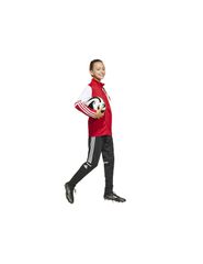 Adidas SQUADRA 25 Training Jacket Junior JD4797 sweatshirt-thumb-4