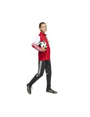 Adidas SQUADRA 25 Training Jacket Junior JD4797 sweatshirt-thumb-5