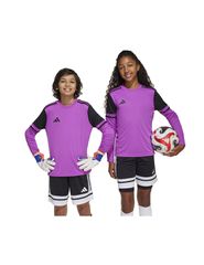 Adidas SQUADRA 25 GK JSY Jr JJ1939 sweatshirt