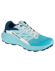 Salomon Alphaglide L47801600