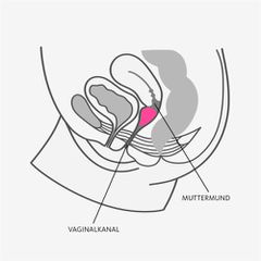 Fun Factory Menstrual Cup Size B-thumb-4