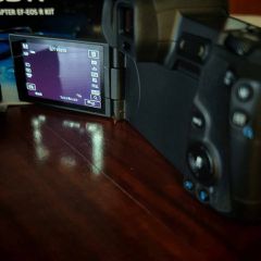 Canon EOS R-thumb-2