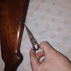 Robust-thumb-4