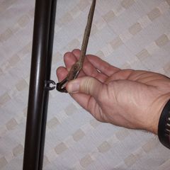 Robust-thumb-7