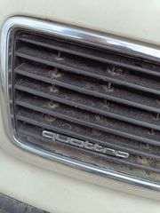 Audi 100 1992 guattro-thumb-4