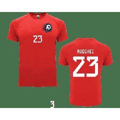 Παιδική μπλούζα ποδοσφαίρου Rodinei