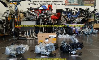 Honda Z 50 2010 MONKEY Z-50 BOBOS-thumb-19