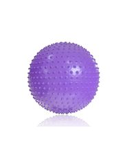 Gym ball with massage PROFIT 55cm purple DK 2104