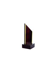 Triumph wooden trophy-thumb-2