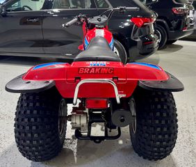 Kawasaki KLT 185 1988 ΣΥΛΛΕΚΤΙΚΟ _ ΣΑΝ ΚΑΙΝΟΥΡΓΙΟ _ ΓΟΥΡΟΥΝΑ _ ΑΝΤΙΚΑ-thumb-11