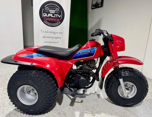 Kawasaki KLT 185 1988 ΣΥΛΛΕΚΤΙΚΟ _ ΣΑΝ ΚΑΙΝΟΥΡΓΙΟ _ ΓΟΥΡΟΥΝΑ _ ΑΝΤΙΚΑ-thumb-29