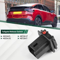 6554V5 - Μικροδιακόπτης Χειρολαβή Πορτμπαγκάζ PSA Group