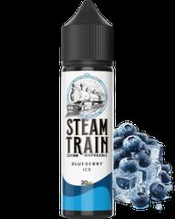 Steam Train Disposable Edition Blueberry Ice 20/60ml Flavorshots