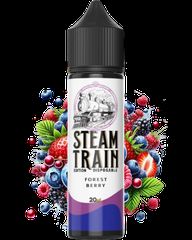 Steam Train Disposable Edition Forest Berry 20/60ml Flavorshots