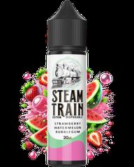 Steam Train Disposable Edition Strawberry Watermelon Bubblegum 20/60ml Flavorshots
