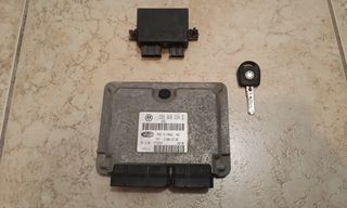 Polo , Lupo , Fabia , Ibiza , Cordoba Εγκεφαλος *