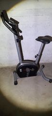 Ποδηλατο γυμναστικης Everfit BFK 300