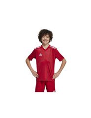 adidas Team Icon 25 Jr Tshirt JM8362