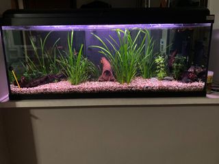 ΠΩΛΕΙΤΑΙ ΦΥΤΕΜΕΝΟ ΕΝΥΔΡΕΙΟ ME ΨΑΡΙΑ 120 ΛΙΤΡΑ 100Χ30Χ40