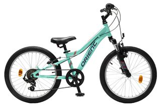 All - Mountain Orient 2026 Snake pro 20" 6sp-thumb-1