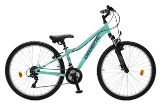 All - Mountain Orient 2026 SNAKE PRO 26" 21sp