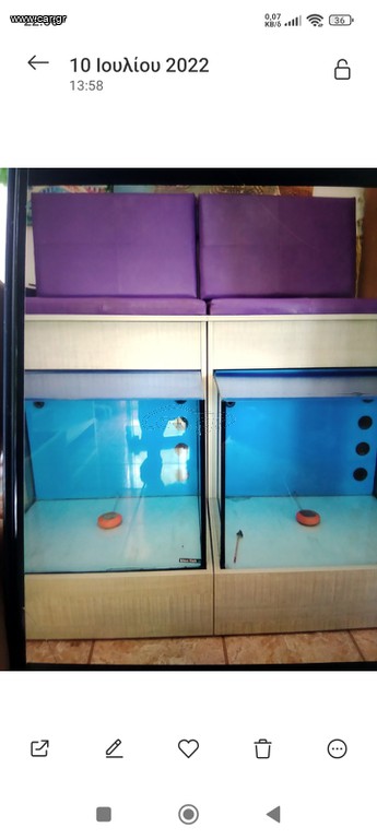 Fish Spa