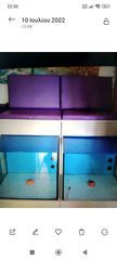 Fish Spa-thumb-1