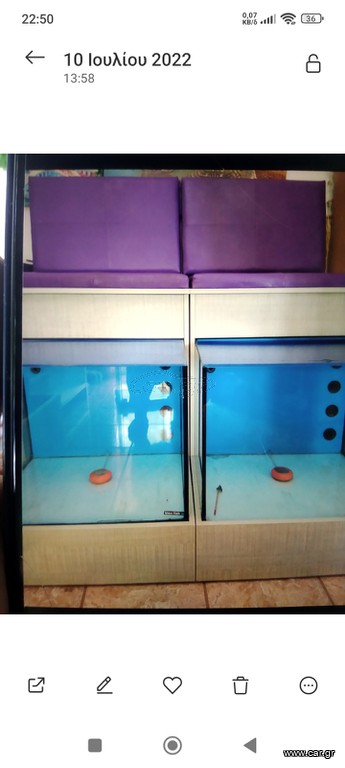Fish Spa