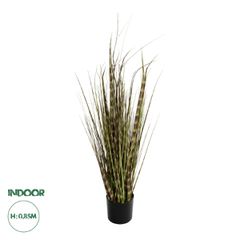 GloboStar® Artificial Garden ZEBRA GRASS 21482 Τεχνητό Διακοσμητικό Φυτό Ζέμπρα Υ85cm