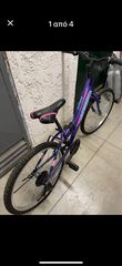 All - Mountain Alpina 2022 bike