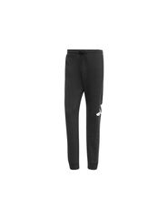 Adidas Essentials Big Logo French Terry M IN6163 pants