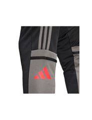 adidas Squadra 25 Training M JD1625 Pants-thumb-6