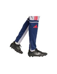 adidas Squadra 25 Training M JP3372 Pants-thumb-5